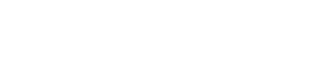 Elektronikhjulet