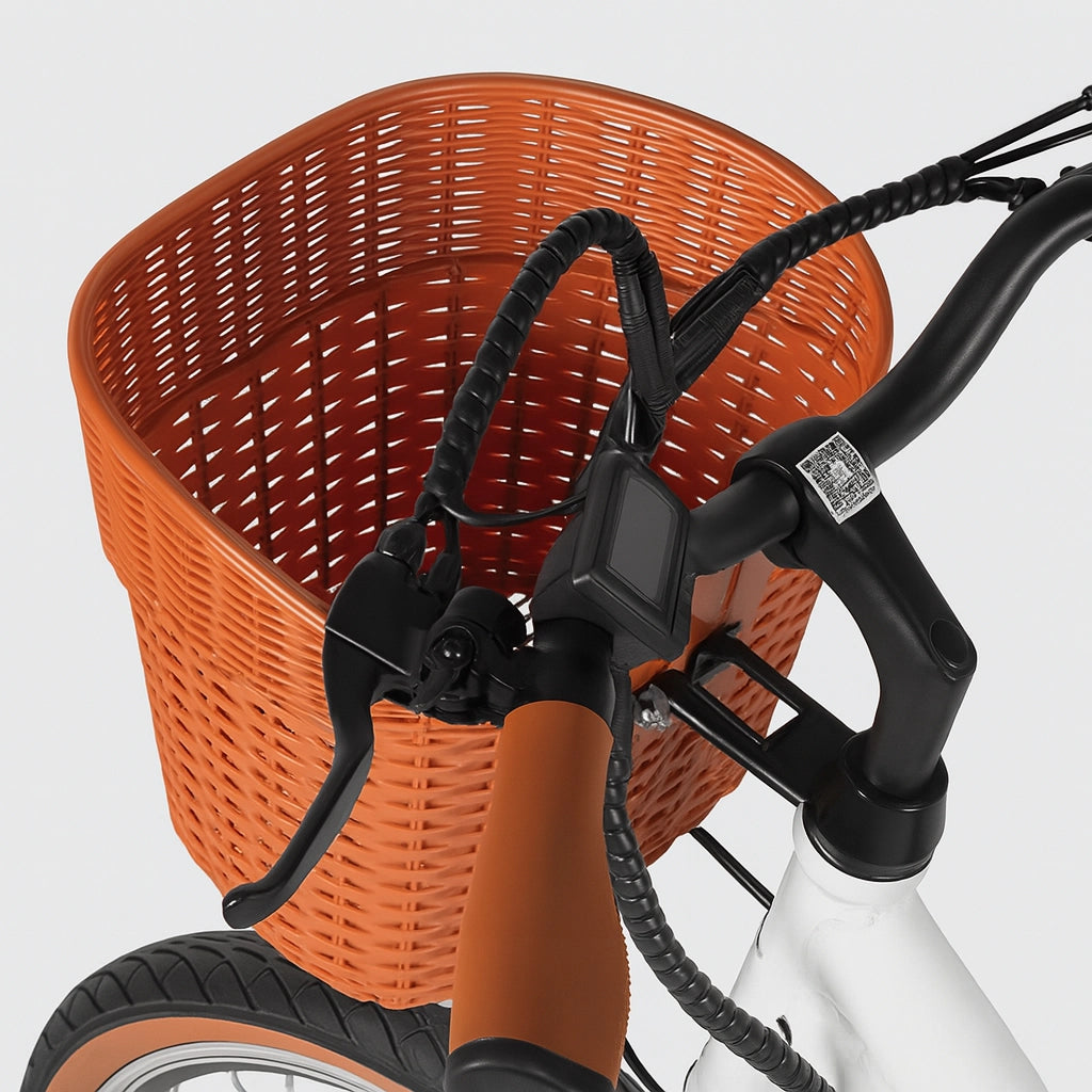 C6 Pro Elcykel (25 km/t)