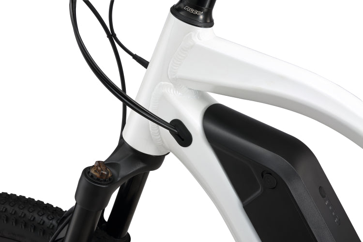 L5 Elcykel (25 km/t)