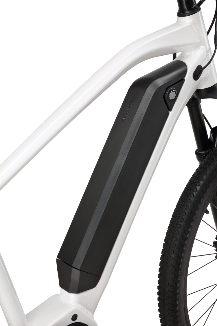 L5 Elcykel (25 km/t)