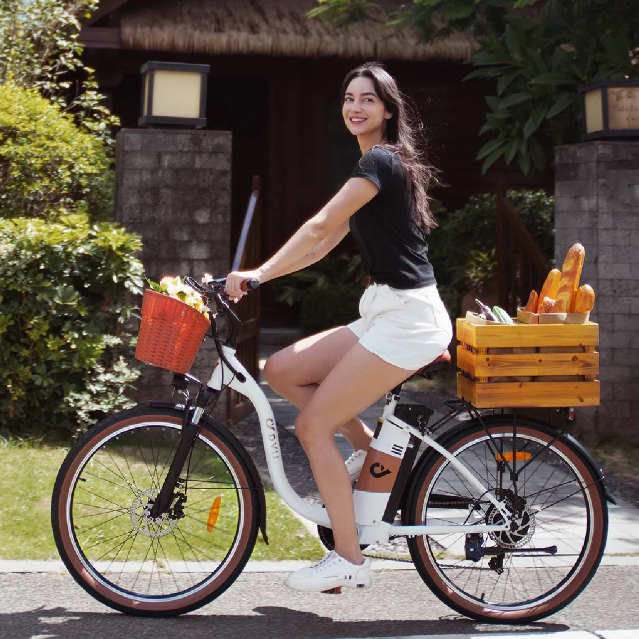 C6 Pro Elcykel (25 km/t)