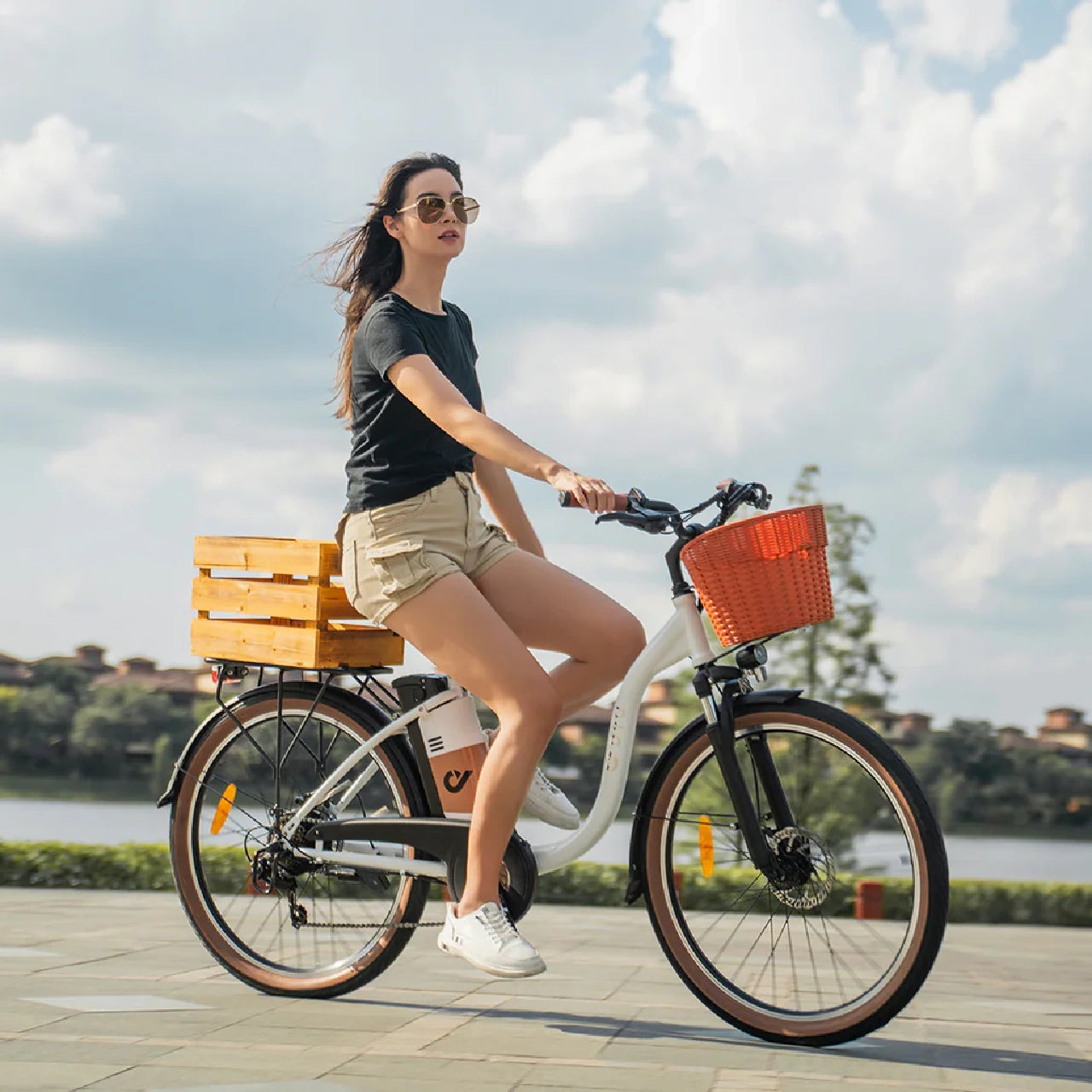 C6 Pro Elcykel (25 km/t)