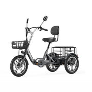 T1 Pro (Trehjulet Elcykel 25 km/t)